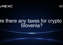 Are there any taxes for crypto in Slovenia? Are there any taxes for crypto in Slovenia?