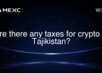 Are there any taxes for crypto in Tajikistan? Are there any taxes for crypto in Tajikistan?