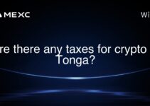 Are there any taxes for crypto in Tonga? Are there any taxes for crypto in Tonga?