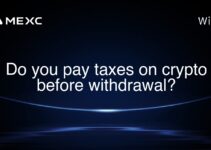 Do you pay taxes on crypto before withdrawal? Do you pay taxes on crypto before withdrawal?