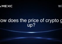 How does the price of crypto go up? How does the price of crypto go up?