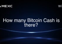 How many Bitcoin Cash is there? How many Bitcoin Cash is there?