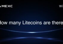 How many Litecoins are there? How many Litecoins are there?
