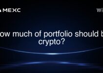 How much of portfolio should be crypto? How much of portfolio should be crypto?