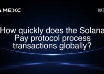How quickly does the Solana Pay protocol process transactions globally? How quickly does the Solana Pay protocol process transactions globally?