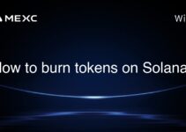 How to burn tokens on Solana? How to burn tokens on Solana?
