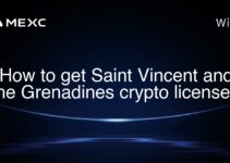 How to get Saint Vincent and the Grenadines crypto license? How to get Saint Vincent and the Grenadines crypto license?