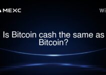 Is Bitcoin cash the same as Bitcoin? Is Bitcoin cash the same as Bitcoin?