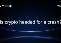 Is crypto headed for a crash? Is crypto headed for a crash?