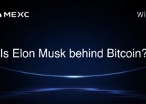 Is Elon Musk behind Bitcoin? Is Elon Musk behind Bitcoin?