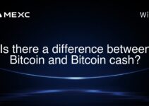 Is there a difference between Bitcoin and Bitcoin cash? Is there a difference between Bitcoin and Bitcoin cash?