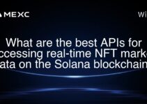 What are the best APIs for accessing real-time NFT market data on the Solana blockchain? What are the best APIs for accessing real-time NFT market data on the Solana blockchain?