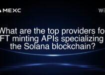 What are the top providers for NFT minting APIs specializing in the Solana blockchain? What are the top providers for NFT minting APIs specializing in the Solana blockchain?
