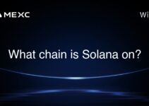 What chain is Solana on? What chain is Solana on?