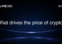 What drives the price of crypto? What drives the price of crypto?