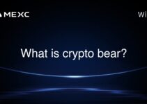 What is crypto bear? What is crypto bear?