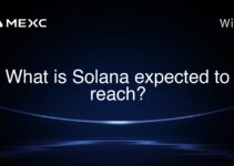 What is Solana expected to reach? What is Solana expected to reach?