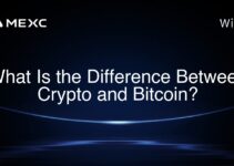 What Is the Difference Between Crypto and Bitcoin? What Is the Difference Between Crypto and Bitcoin?