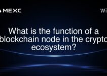 What is the function of a blockchain node in the crypto ecosystem? What is the function of a blockchain node in the crypto ecosystem?