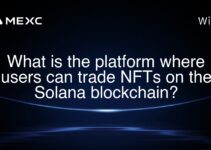What is the platform where users can trade NFTs on the Solana blockchain? What is the platform where users can trade NFTs on the Solana blockchain?