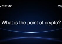 What is the point of crypto? What is the point of crypto?