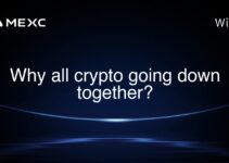 Why all crypto going down together? Why all crypto going down together?