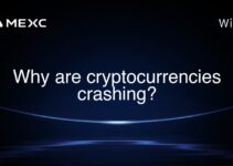 Why are cryptocurrencies crashing? Why are cryptocurrencies crashing?