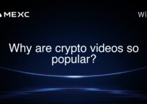Why are crypto videos so popular? Why are crypto videos so popular?