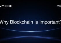 Why Blockchain is Important? Why Blockchain is Important?