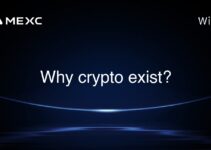 Why crypto exist? Why crypto exist?