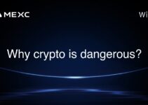 Why crypto is dangerous? Why crypto is dangerous?