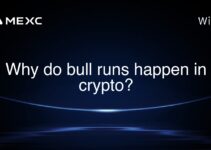 Why do bull runs happen in crypto? Why do bull runs happen in crypto?