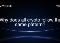 Why does all crypto follow the same pattern? Why does all crypto follow the same pattern?