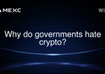 Why do governments hate crypto? Why do governments hate crypto?