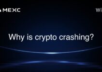 Why is crypto crashing? Why is crypto crashing?