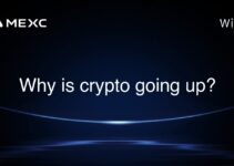 Why is crypto going up? Why is crypto going up?