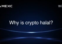 Why is crypto halal? Why is crypto halal?