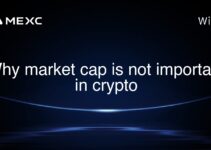 Why market cap is not important in crypto Why market cap is not important in crypto
