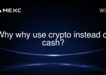 Why why use crypto instead of cash? Why why use crypto instead of cash?
