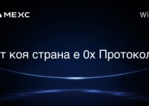 0xプロトコルはどの国のものですか？