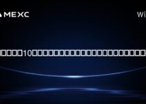 ビットワイズ10暗号インデックスファンド株のセンチメントとは? ビットワイズ10暗号インデックスファンド株のセンチメントとは?