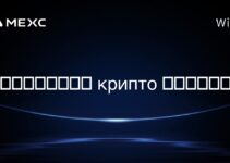 在千里達及托巴哥, крипто 開採是否合法? 在千里達及托巴哥, крипто 開採是否合法?