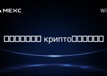 在哥斯达黎加, крипто挖矿合法吗? 在哥斯达黎加, крипто挖矿合法吗?