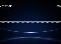 暗号プロジェクトやウェブサイトが正当であるかどうかを確認する必要があるとき、通常はどのような手順を踏みますか？