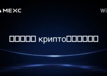 在赞比亚, крипто挖矿合法吗? 在赞比亚, крипто挖矿合法吗?