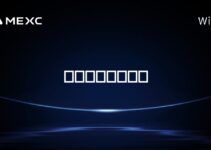 ソラナは良いか? ソラナは良いか?