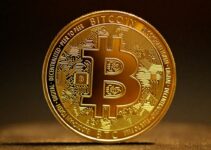 ビットコインはどのように機能しますか? 完全初心者向けガイド ビットコインはどのように機能しますか? 完全初心者向けガイド