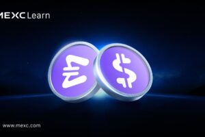 StablR 解读：MiCA 监管下的欧元/美元稳定币新基建