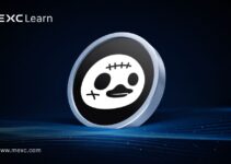 什麼是 DuckCoop(DUCKS)?超 5,300,000 用戶共建「鴨子社區」 什麼是 DuckCoop(DUCKS)?超 5,300,000 用戶共建「鴨子社區」