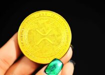 XRP ETFとは? SEC承認状況、ローンチ日、投資ガイド XRP ETFとは? SEC承認状況、ローンチ日、投資ガイド